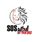 SOS Pitbull&amp;Horses